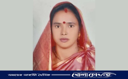 বিজয়নগরে প্যানেল চেয়ারম্যানের পদত্যাগ, সাথী রানীর বিরুদ্ধে বিভিন্ন অনিয়মের অভিযোগ