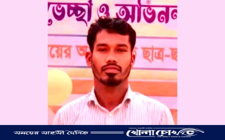 সুবর্ণচরে বিদ্যুৎ স্পৃষ্টে শিক্ষকের মৃত্যু