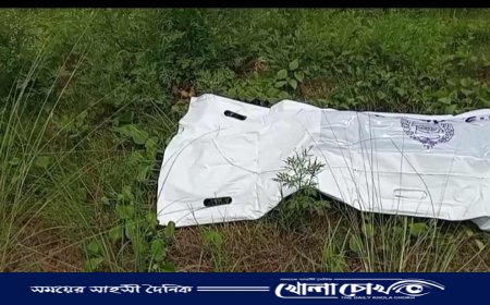 ভাঙ্গায় ট্রাকের চাপায় প্রাণ গেল ভ্যান চালকের