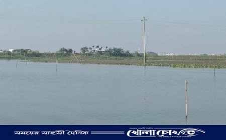 ভূমিদস্যুদের দখলে ব্রাহ্মণবাড়িয়ার তিতাস নদী 