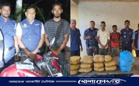 ব্রাহ্মণবাড়িয়ায় ৩ মাদক পাচারকারী গ্রেপ্তার
