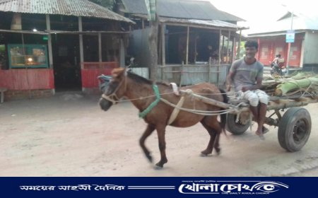 লালমনিরহাটে কৃষি পণ্য পরিবহনে ঘোড়ার গাড়ির কদর বাড়ছে