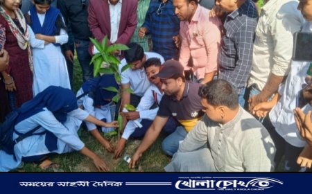 সরকারি ইয়াসিন কলেজ ও সরকারি রাজেন্দ্র কলেজে ছাত্রদলের বৃক্ষরোপণ ও লিফলেট বিতরণ ‌কর্মসূচী অনুষ্ঠিত