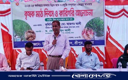 মাগুরার শ্রীপুরে জিও ব্যাগ/বস্তায় আদা চাষের মাঠ দিবস ও কারিগরি আলোচনা সম্পন্ন 