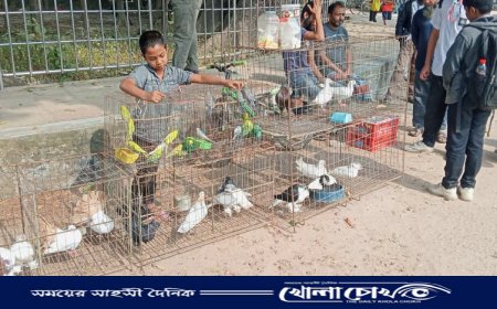 ফরিদপুরে কবুতরের হাটে বিক্রি হচ্ছে বিভিন্ন প্রজাতির পশু পাখি 