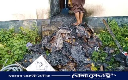 বিজয়নগরে ব্যবসায়ীর স্বপ্ন পুড়ে ছাই