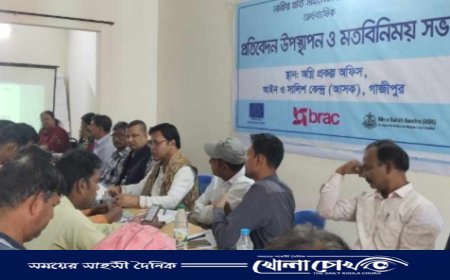 গাজীপুরে ৮ মাসে সহিংসতার শিকার ৫১৪ নারী