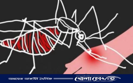 মধুখালীতে  ডেঙ্গুতে এক নারীর  মৃত্যু