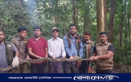 কাপ্তাই জাতীয় উদ্যানে বার্মিজ অজগর সাপ অবমুক্ত