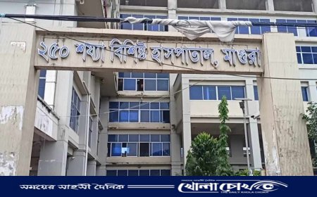 মাগুরায় মাদকাসক্ত ছেলের হাতে পিতা খুন 