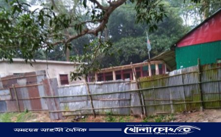 আওয়ামীলীগ নেতার পরিবারের বিরুদ্ধে স্কুলের জমি দখলের অভিযোগ