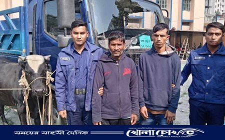 ফরিদপুরে ডাকাতদলের দুই সদস্য আটক, পিকআপসহ গরু উদ্ধার 