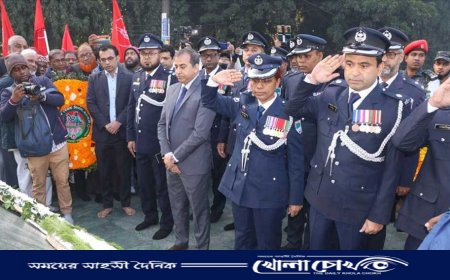 মাগুরায় মহান বিজয় দিবস পালিত 