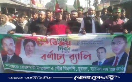 বোয়ালমারীতে বিএনপি ও অংগ সংগঠনের পৃথকভাবে  মহান বিজয় দিবস উদযাপন 