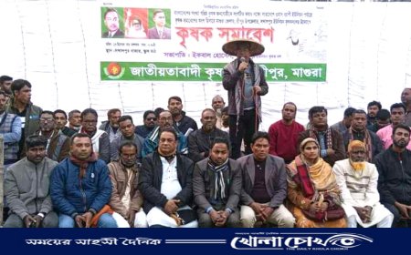 মাগুরার শ্রীপুরে কৃষকদলের উদ্যোগে কৃষক সমাবেশ অনুষ্ঠিত