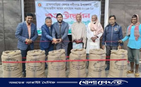 নবীনগরে সরকারিভাবে রোপা আমন ধান সংগ্রহ উদ্বোধন