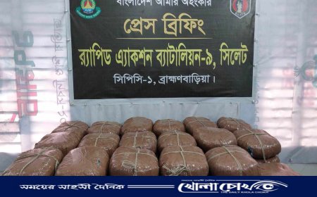 ১০০ কেজি গাঁজাসহ ব্রাহ্মণবাড়িয়ায় ২ মাদক ব্যবসায়ী গ্রেপ্তার