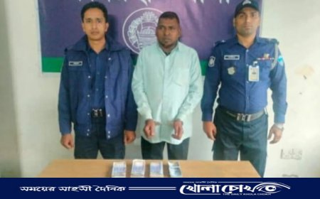 নোয়াখালীতে ১৩ বান্ডেল জাল ডলার ও টাকা জব্দ, গ্রেপ্তার-১