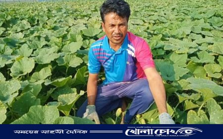 সবজি চাষ করে ব্যাপক সাড়া ফেলেছেন বিজয়নগরের জাকির মিয়া