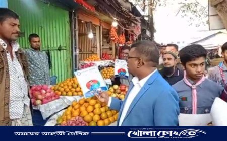 নবীনগরে পরিস্কার পরিচ্ছন্ন রাখার কার্যক্রম চালিয়েছেন উপজেলা নির্বাহী অফিসার