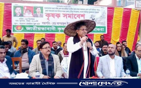 মাগুরার শ্রীপুরে নাকোল ইউনিয়ন কৃষক দলের কৃষক সমাবেশ