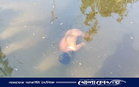নিখোঁজের একদিন পর বৃদ্ধের মরদেহ ভেসে উঠলো পুকুরে