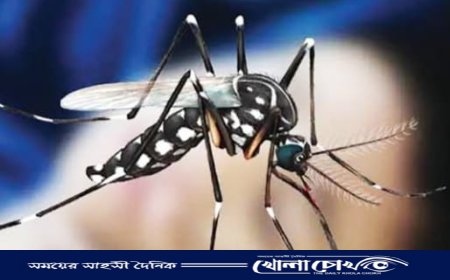 ফরিদপুরে ডেঙ্গুতে আক্রান্ত হয়ে ‌এক ব্যক্তির মৃত্যু 