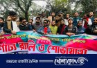 সদরপুরে ছাত্রদলের প্রতিষ্ঠা বার্ষিকীতে র‍্যালি 