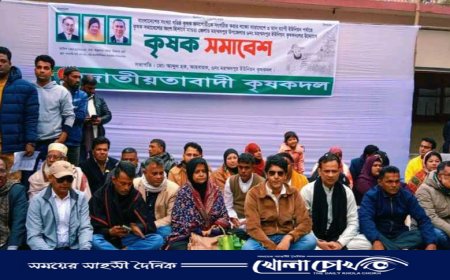 মহম্মদপুরে কৃষক দলের উদ্যোগে কৃষক সমাবেশ অনুষ্ঠিত 