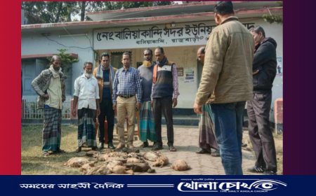 বালিয়াকান্দিতে বিষ প্রয়োগে ২১ টি হাঁস মেরে ফেলার অভিযোগ 