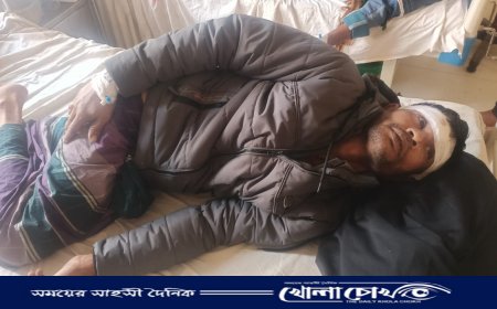 কালকিনির রমজানপুরে পরকীয়ায় বাধা দেয়ার জেরে হামলায় আহত -৩