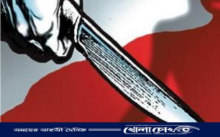 কালকিনিতে পরকীয়ায় বাধা দেয়ায় এক কৃষকের পুরুষাঙ্গ কর্তন