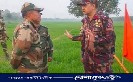 নওগাঁ সীমান্তে বিএসএফের কাঁটাতারের বেড়ার চেষ্টা, বিজিবি'র বাধায় বন্ধ