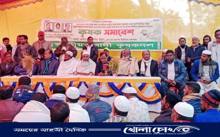 সুবর্ণচরে কৃষক দলের আয়োজনে কৃষক সমাবেশ 