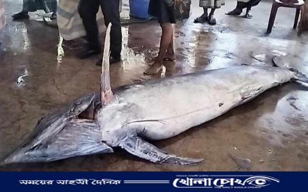 টেকনাফে জেলের জালে ধরা পড়ল ২০০ কেজি ওজনের পাখি মাছ