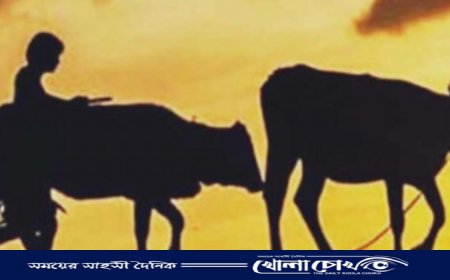 রাণীনগরে খামার থেকে গরু চুরি