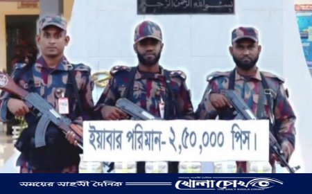 টেকনাফে আড়াই লক্ষ পিস ইয়াবার চালান জব্দ 