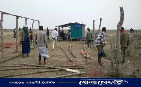 নোয়াখালীতে বন প্রহরীকে বিদ্যুতের খুঁটিতে বেঁধে পিটানোর হুমকি যুবদল নেতার