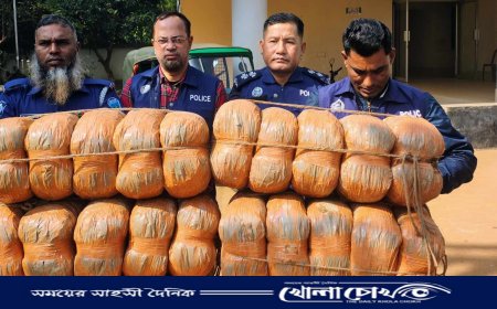 বিজয়নগরে ৬০ কেজি গাঁজা উদ্ধার 