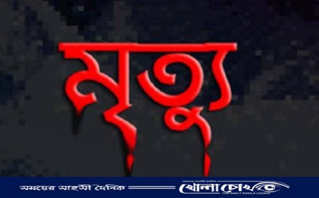 কাউনিয়ায় সুপারী গাছ চাপায় কাঠমিস্ত্রির মৃত্যু