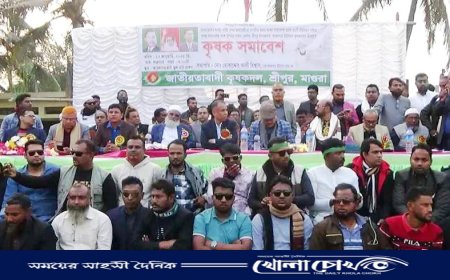 মাগুরার শ্রীপুরে কৃষক দলের কৃষক সমাবেশ 