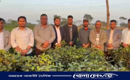 বিজয়নগর উপজেলা প্রেসক্লাবের শীতকালীন আনন্দ উৎসবে সাংবাদিকদের মিলনমেলা অনুষ্ঠিত