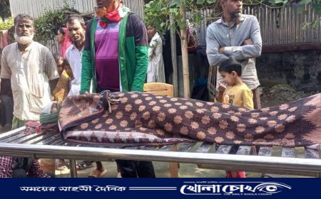 বোয়ালমারীতে সড়ক দুর্ঘটনায় ইজিবাইক যাত্রী নিহত 