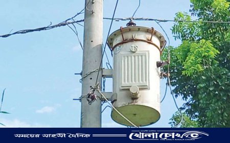 নাসিরনগরে দুই মাসে ৩১ ট্রান্সফরমার চুরি, বোরো চাষ ব্যাহত হওয়ার শঙ্কা  