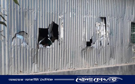 সালথায় যুবদল নেতার বাড়িতে বিএনপি নেতার হামলা-ভাংচুর