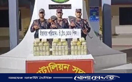 টেকনাফে মালিকবিহীন ৪ লাখ ৫০ হাজার পিস ইয়াবা উদ্ধার