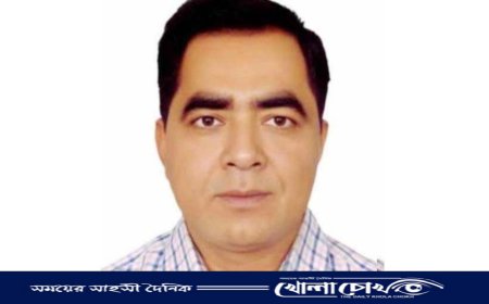 পিরোজপুরে বিকাশের ২ কোটি ২৪ লাখ টাকা হাতিয়ে লাপাত্তা ম্যানেজার