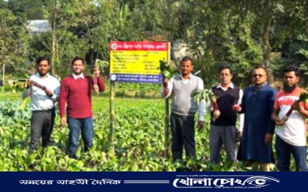 নবীনগরে প্রথমবারের মত বিটরুট আবাদ