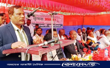 সুবর্ণচরে কৃষক দলের কৃষক সমাবেশ