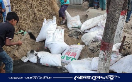 নাসিরনগরে ইউপি সদস্যের গোডাউন থেকে নকল সার জব্দ